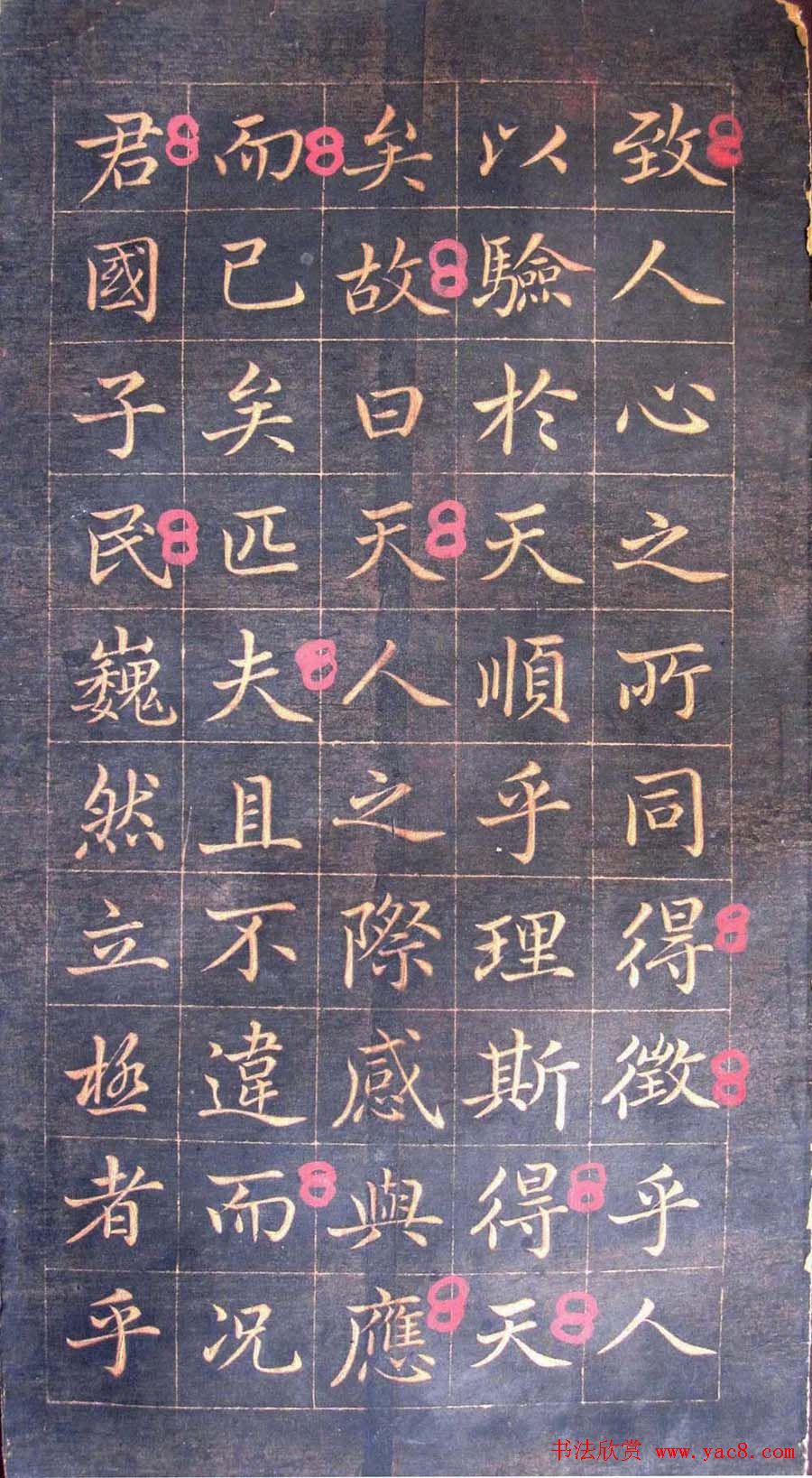 \п鷨