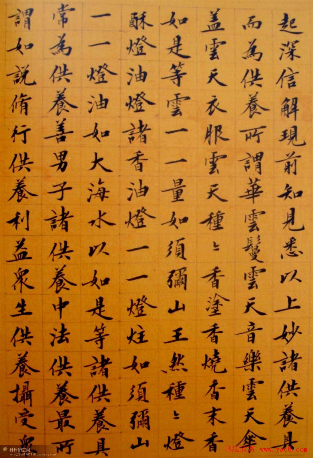 刘小晴小楷欣赏《华严经》(2)