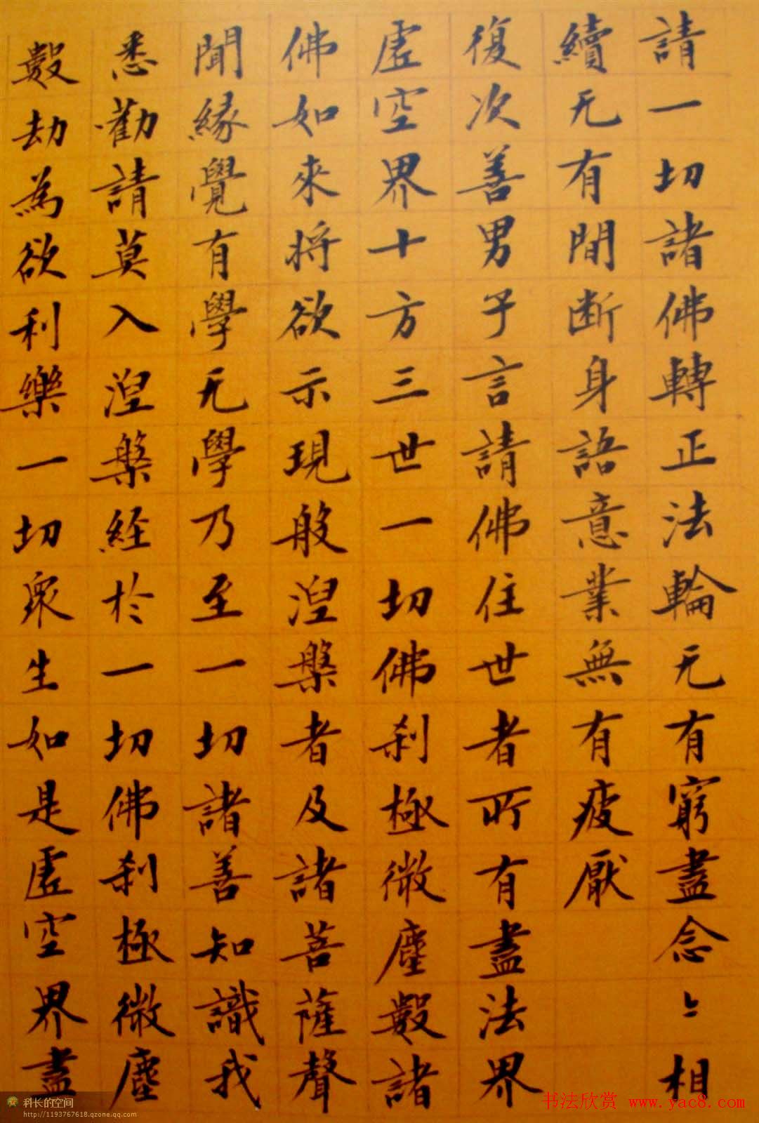 刘小晴小楷欣赏华严经14