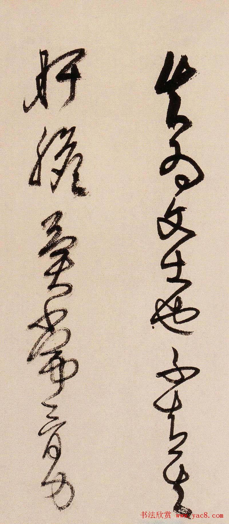 鷨˹漣