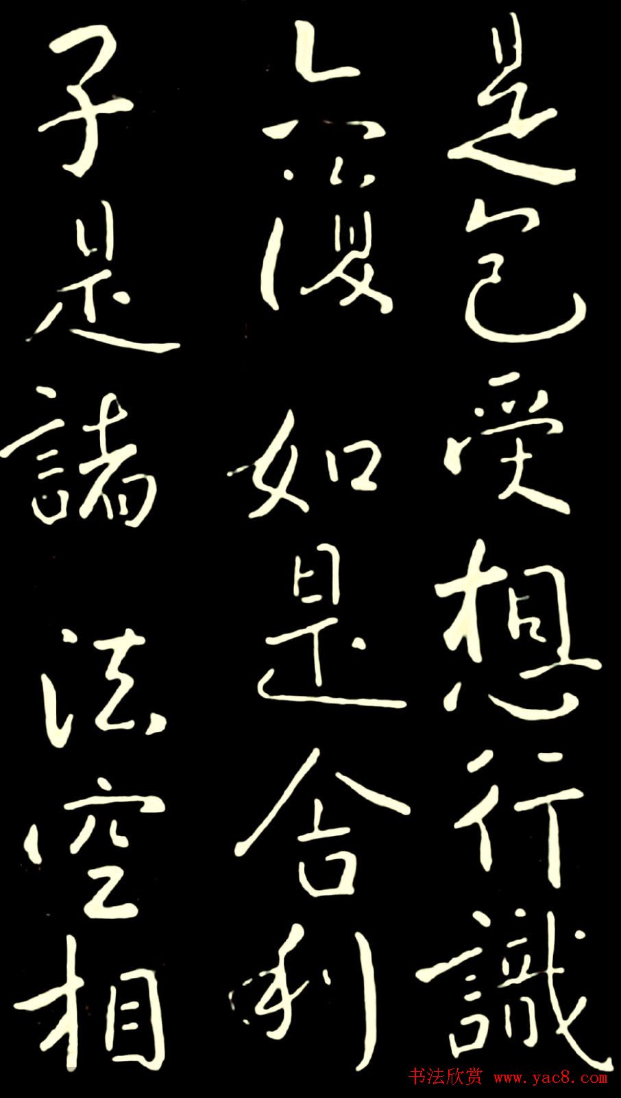 鷨ľ