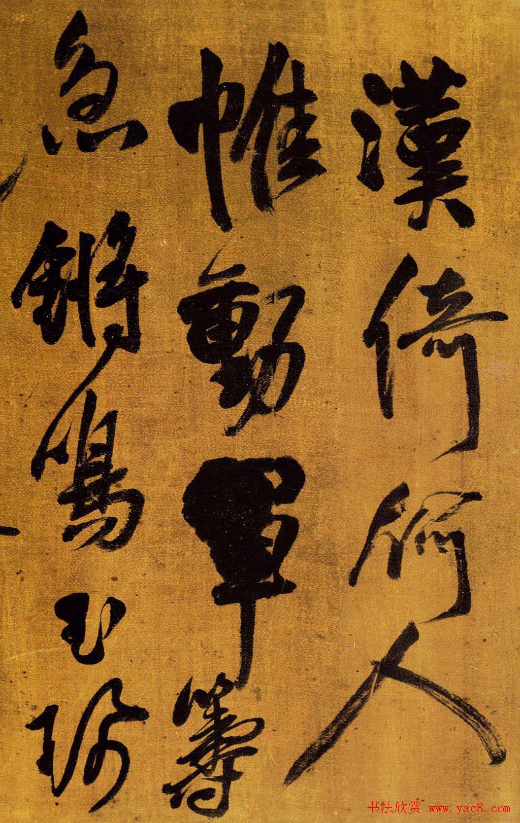 в鷨вʫ