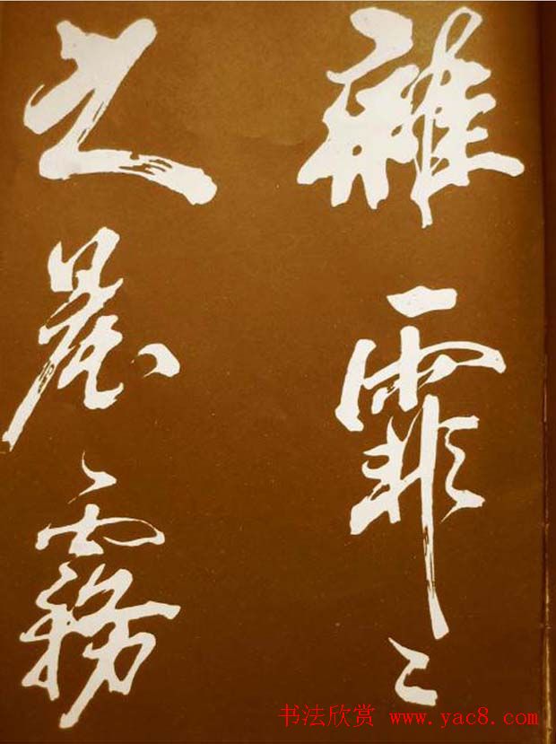 鷨÷