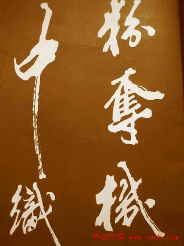 鷨÷