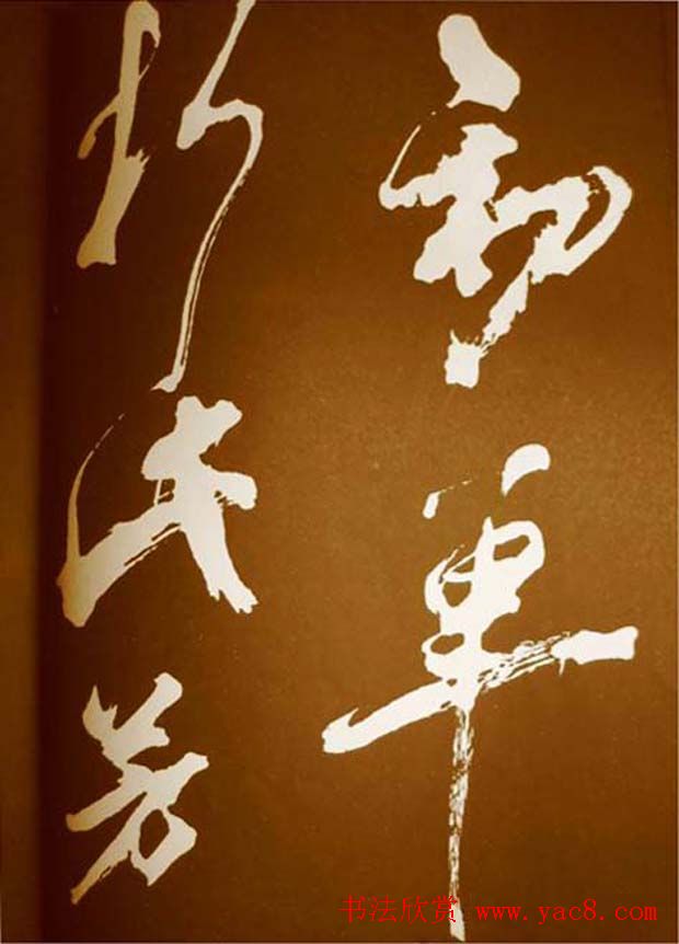 鷨÷