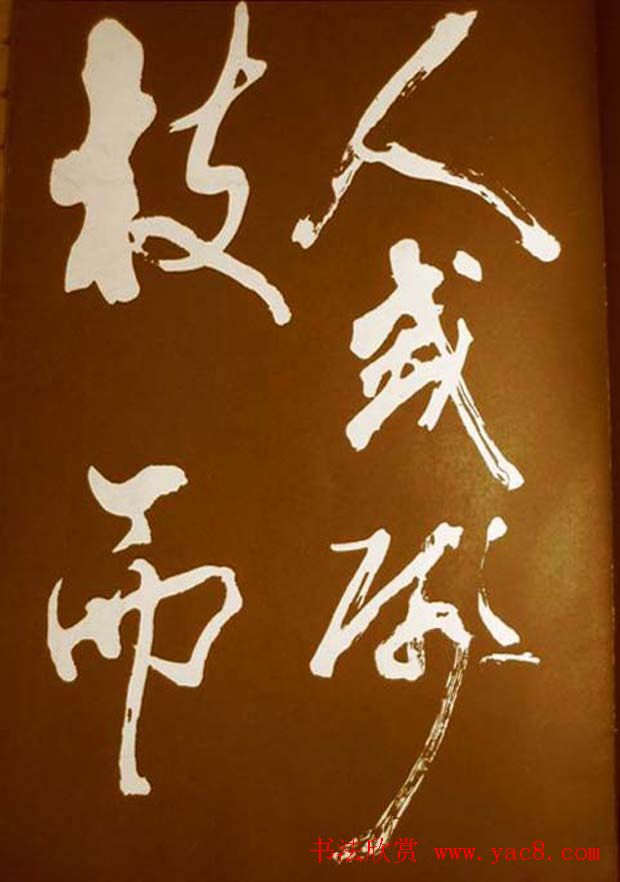 鷨÷