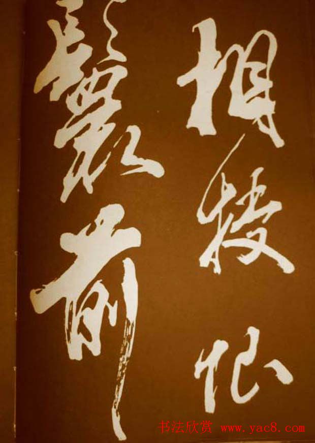 鷨÷
