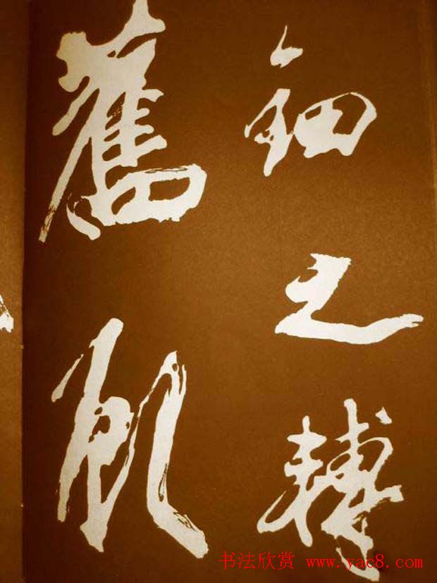 鷨÷