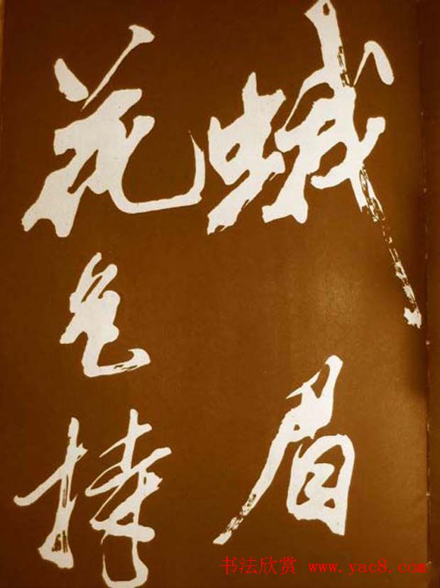 鷨÷