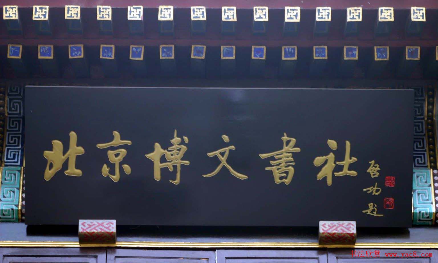 鷨