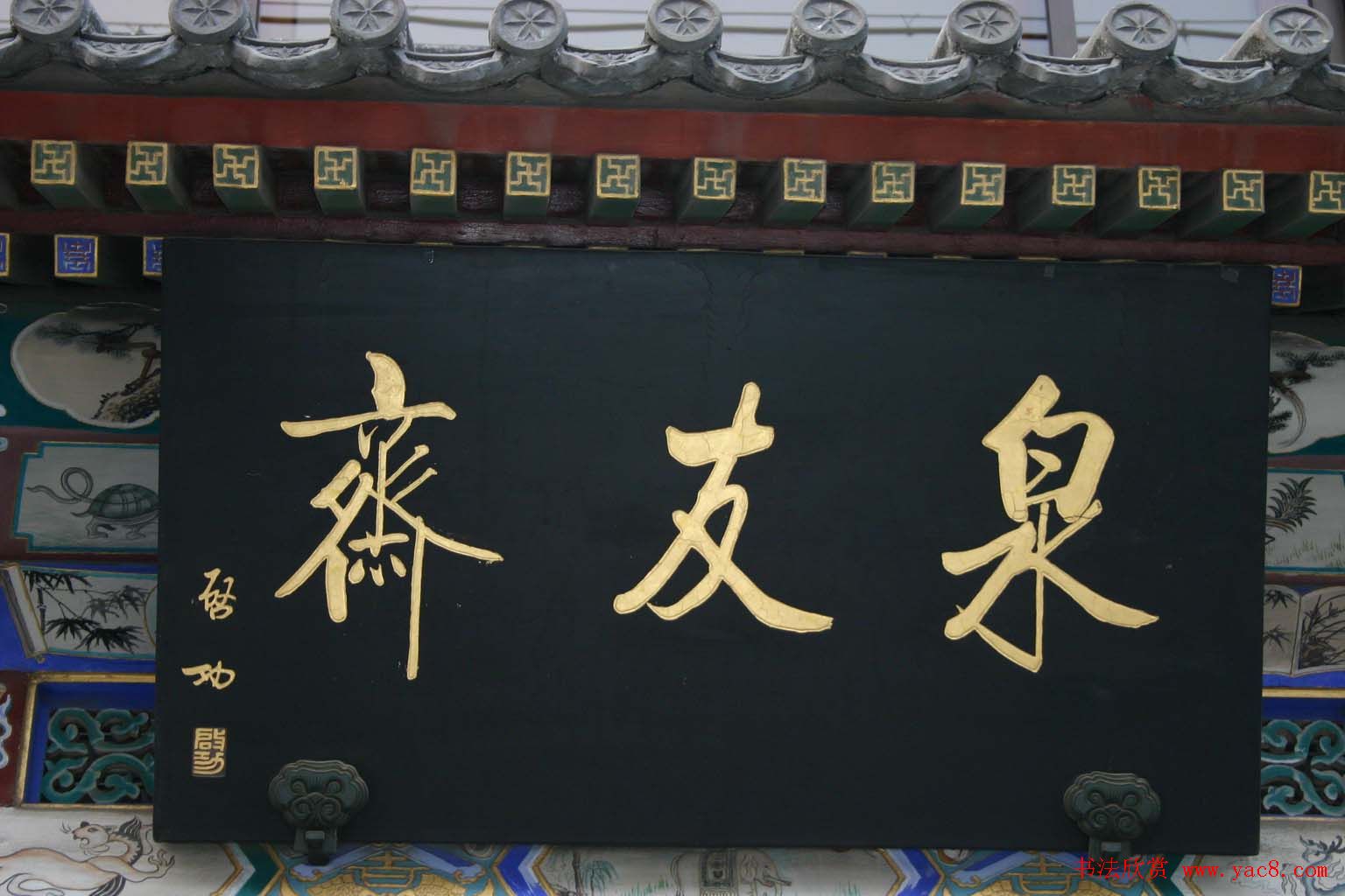 鷨