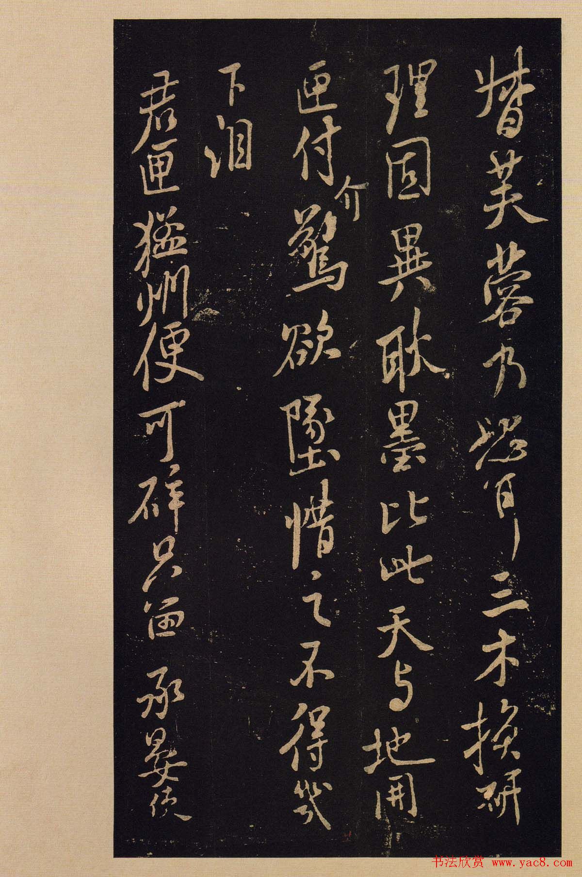 鷨ءիھ