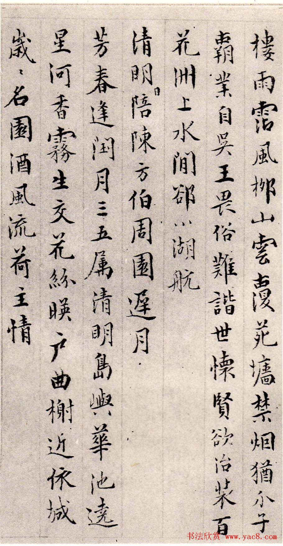 鷨Ҿӽڿʫҳ
