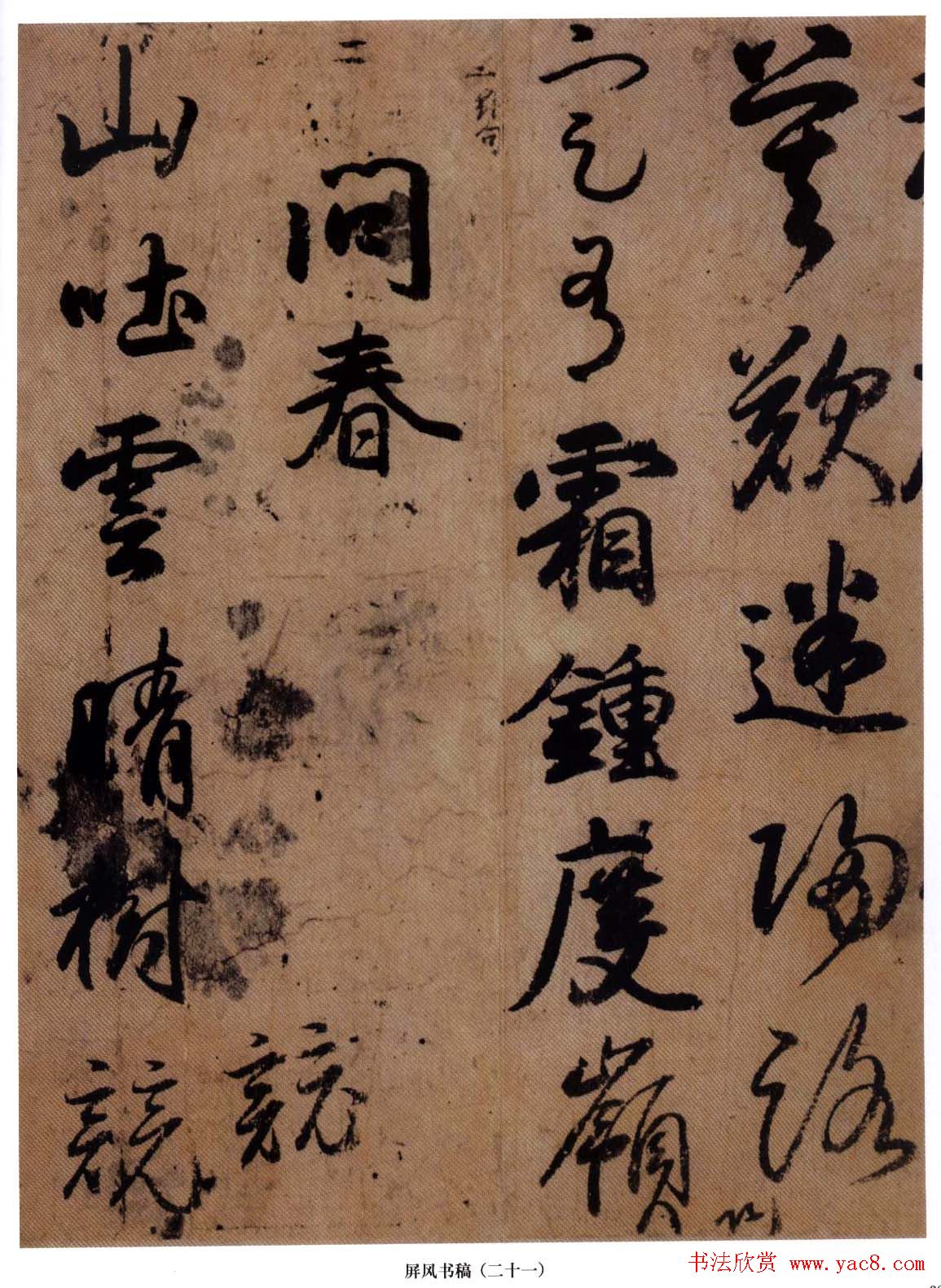 �ձ�СҰ�����в��鷨������ݸ塷