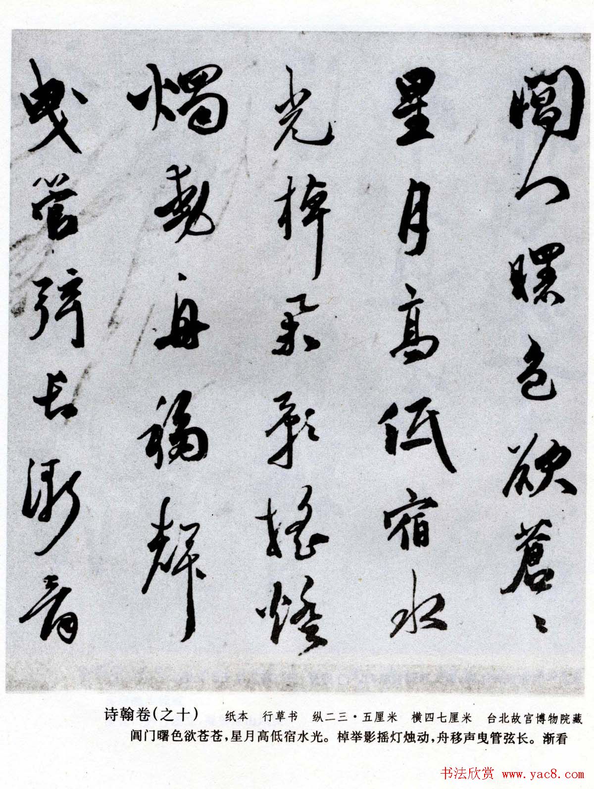 ף鷨īʫʮо