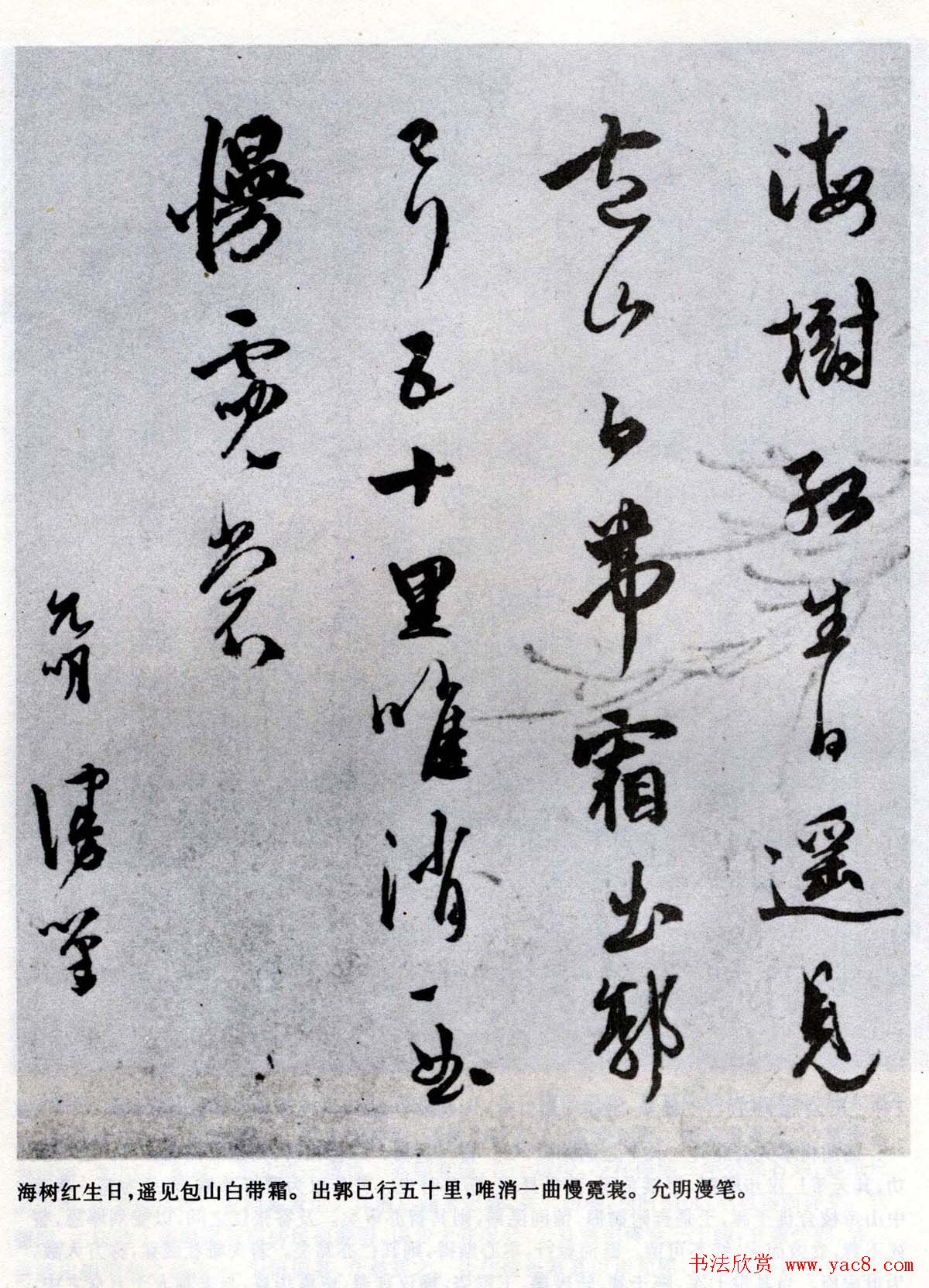 ף鷨īʫʮо