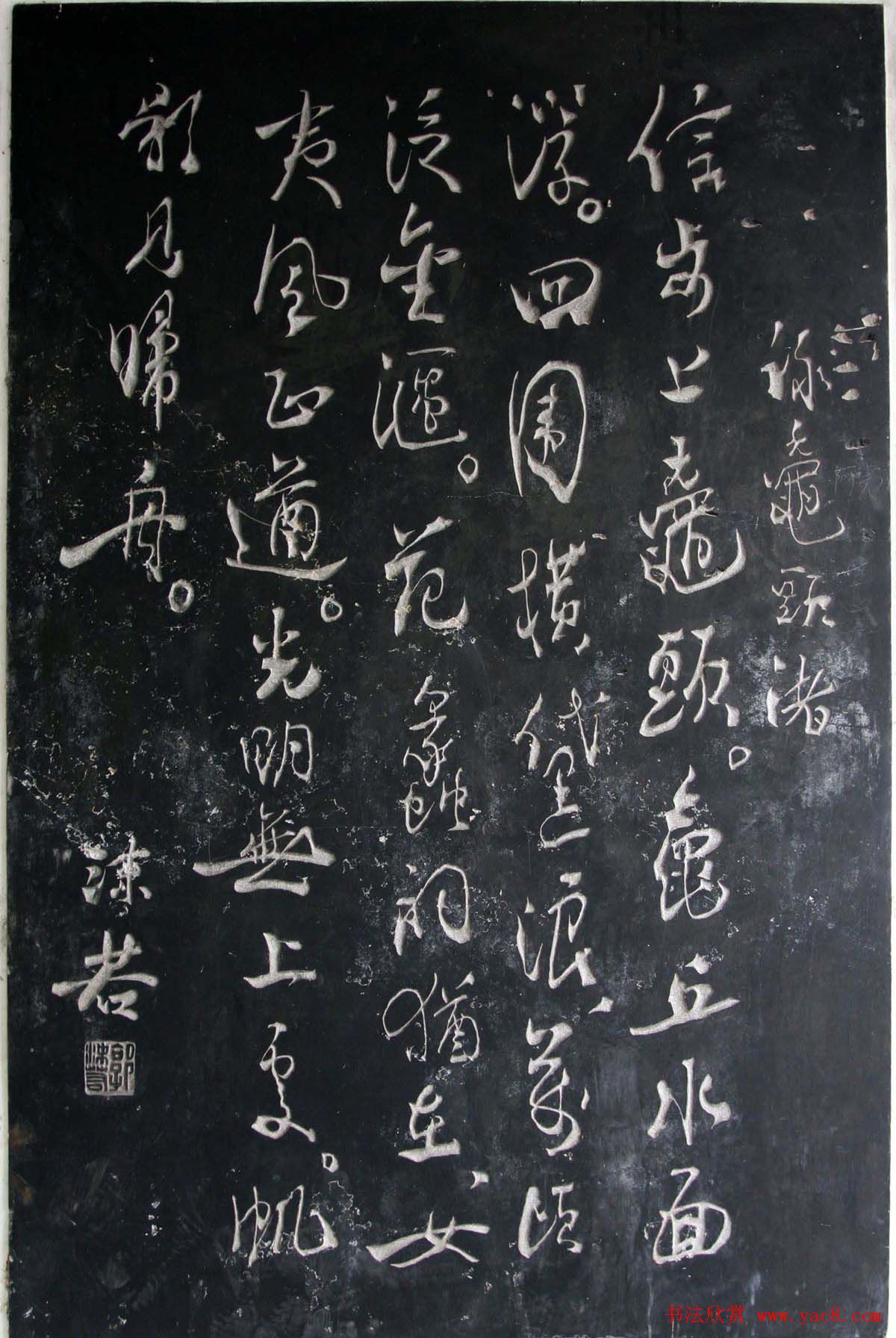 ĭ鷨Ҷ(3)