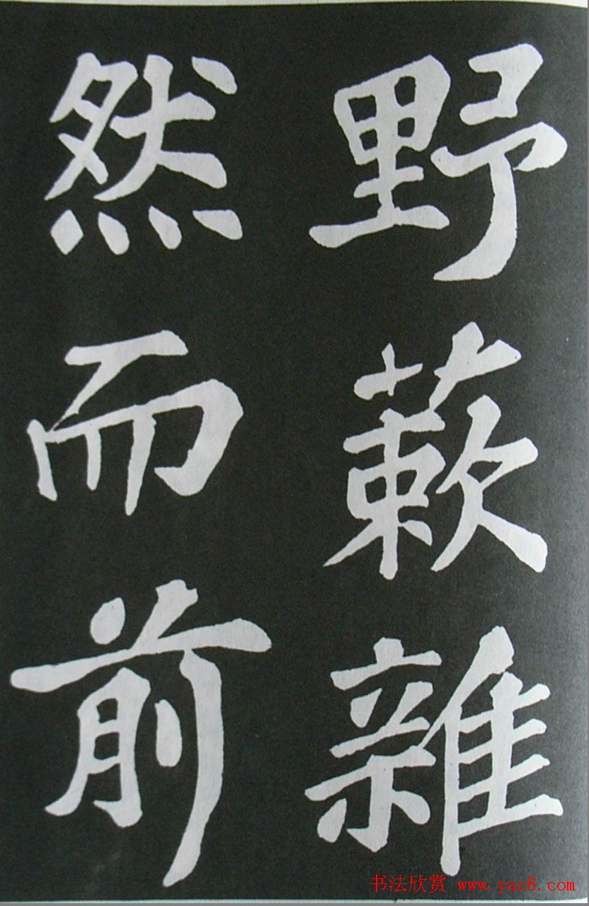 鷨ͤ͡ǡ