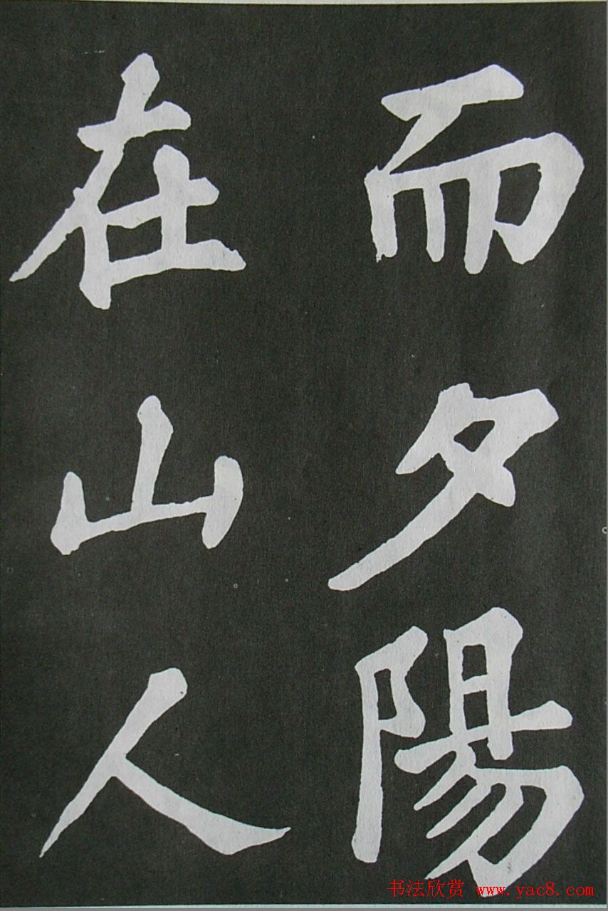 鷨ͤǡ