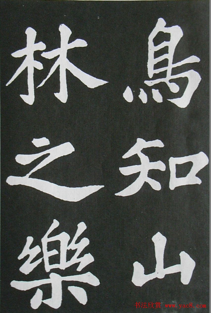 鷨ͤǡ