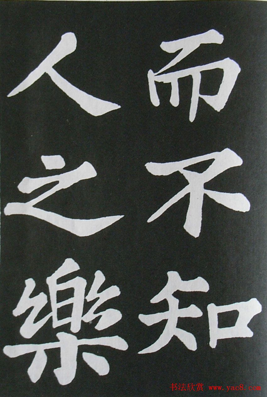 鷨ͤǡ