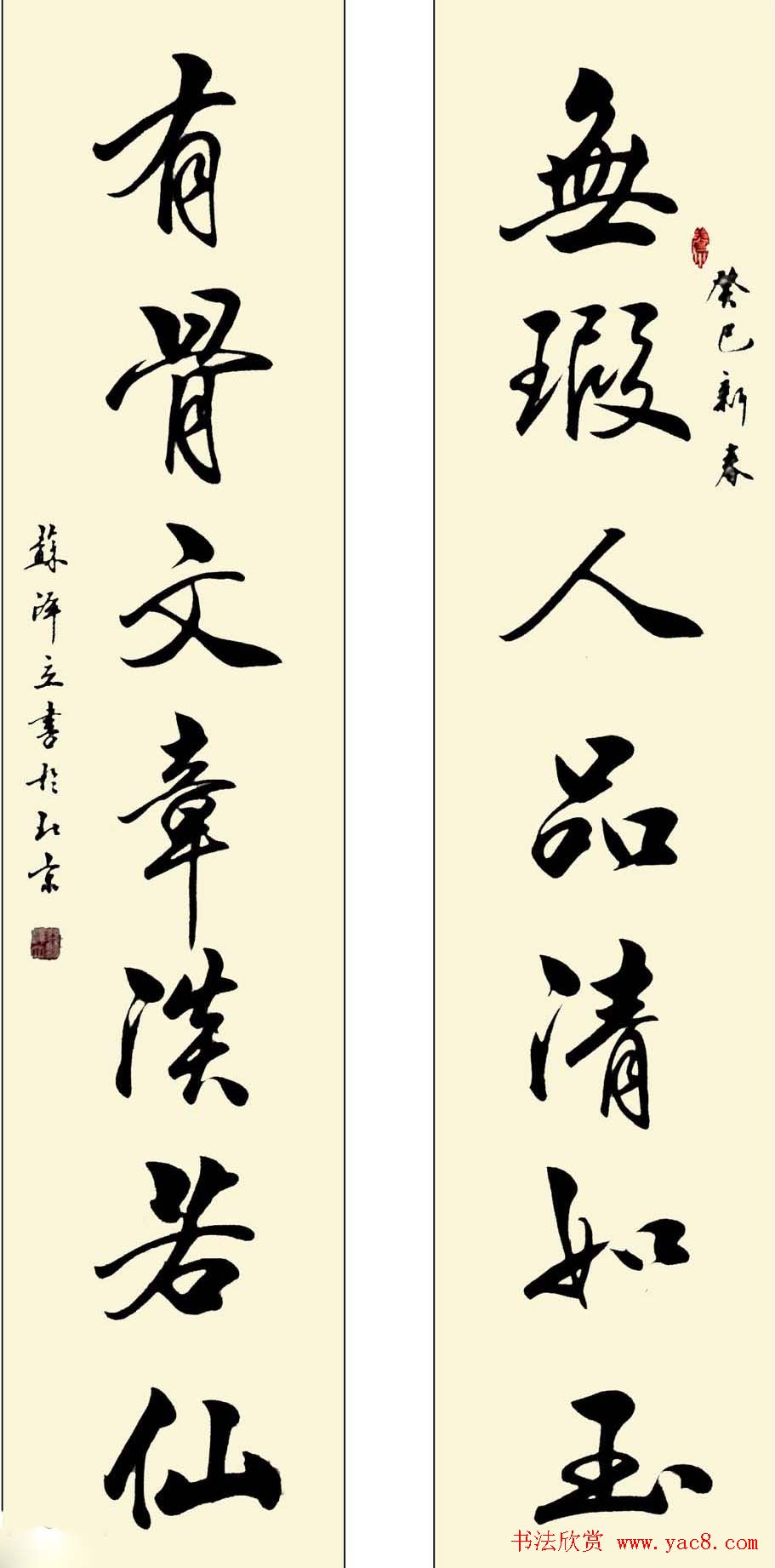 苏泽立书法行书作品欣赏8