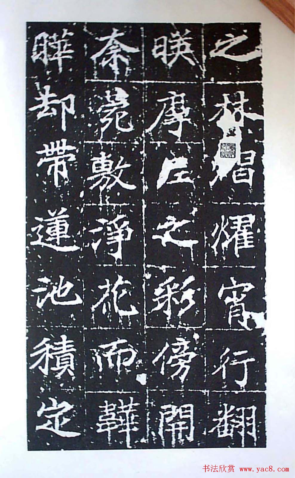 ʦ鷨ȴ±