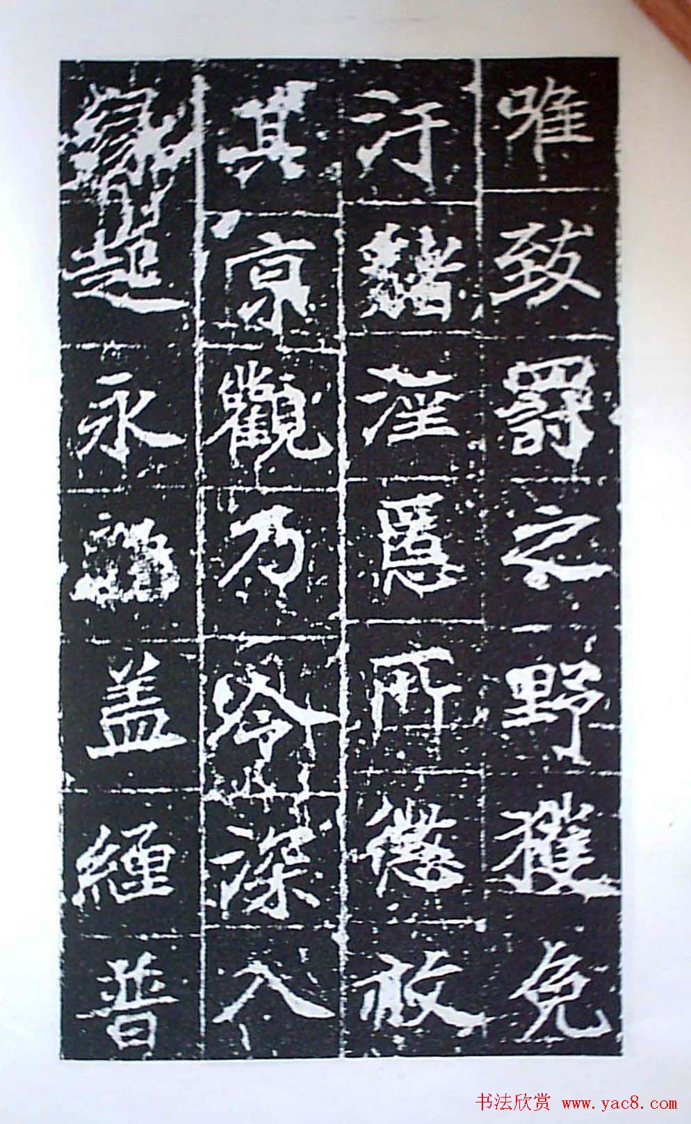 ʦ鷨ȴ±