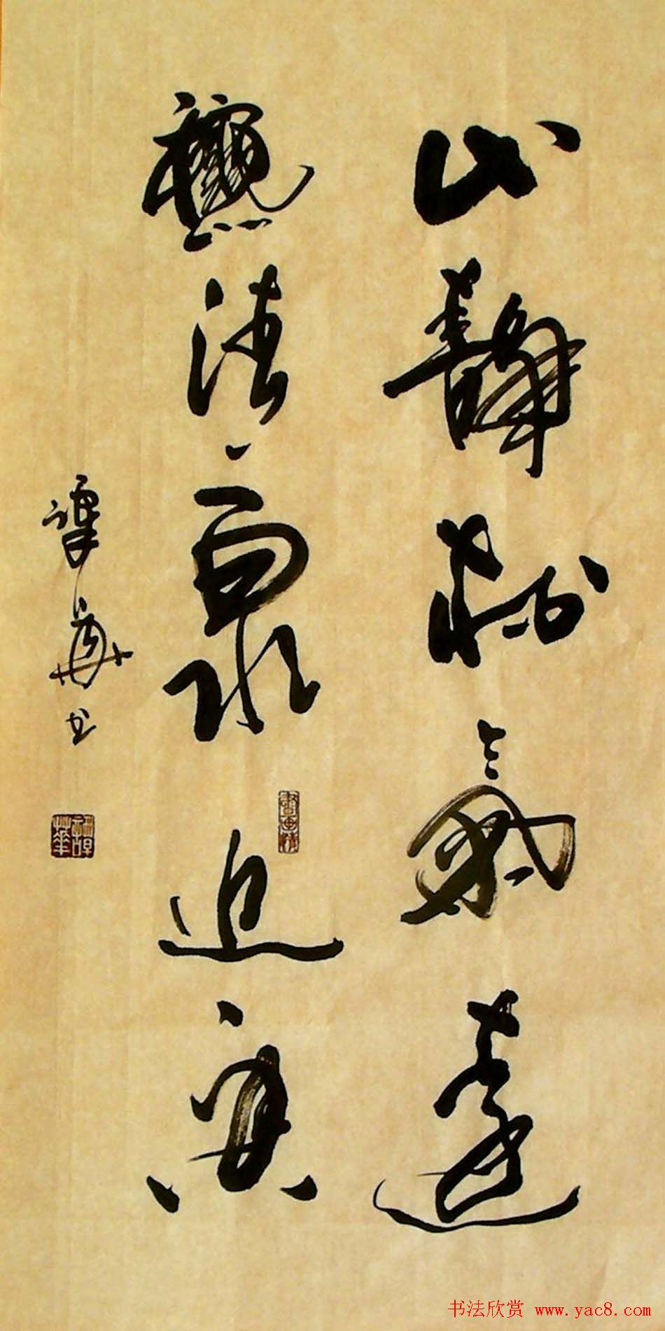 ̷в鷨Ʒ