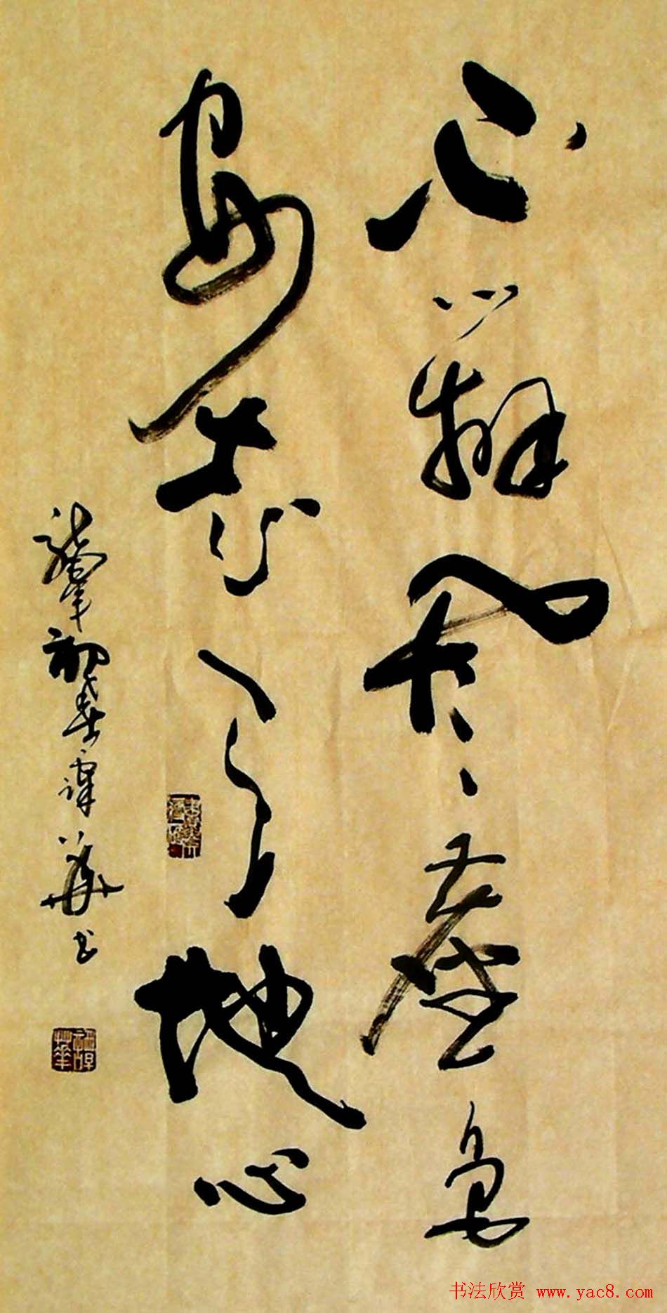 ̷в鷨Ʒ