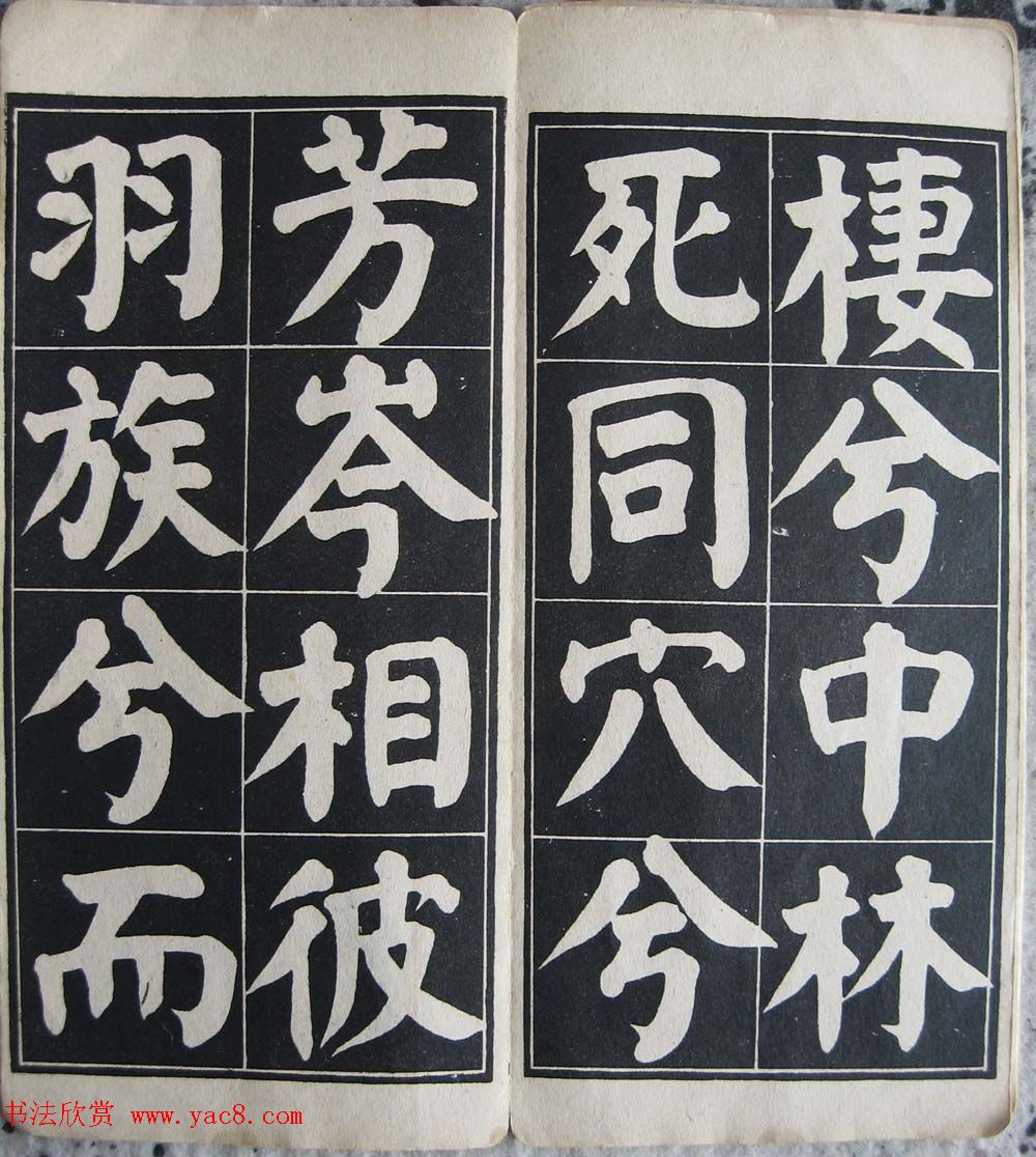 ���忬��ϰ��������³��˫������������