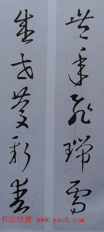 ֮鼯鷨70