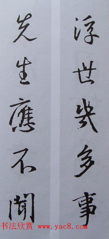 ֮鼯鷨70