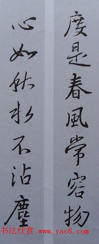 ֮鼯鷨70