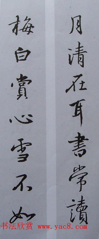 ֮鼯鷨70