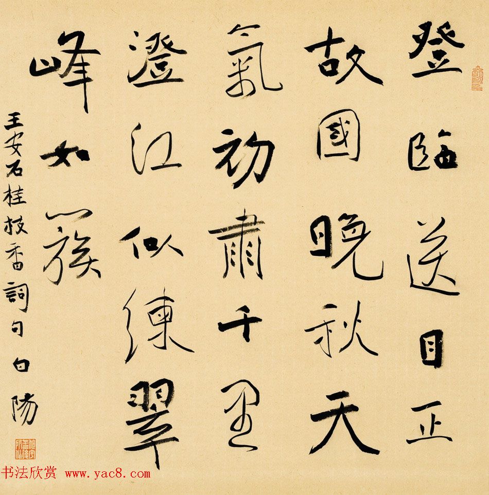 鷨鷨Ʒ
