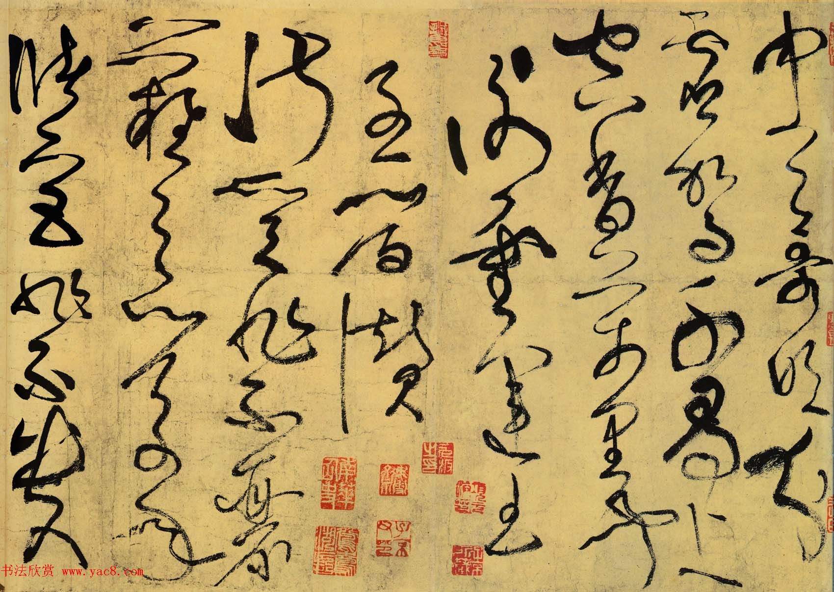 鷨īʫס