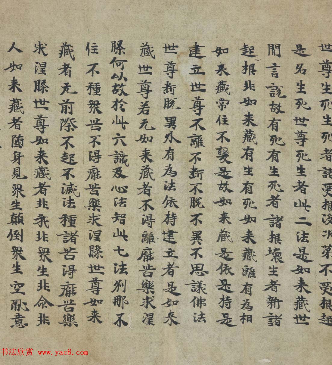 ػ鷨ʤNʨӺһ˴󷽱㷽㾭ͼݲ