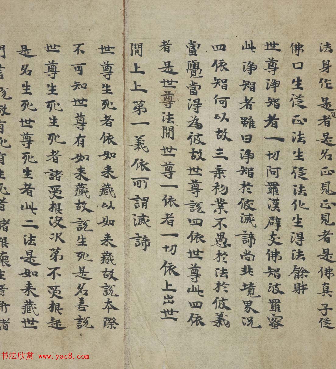 ػ鷨ʤNʨӺһ˴󷽱㷽㾭ͼݲ