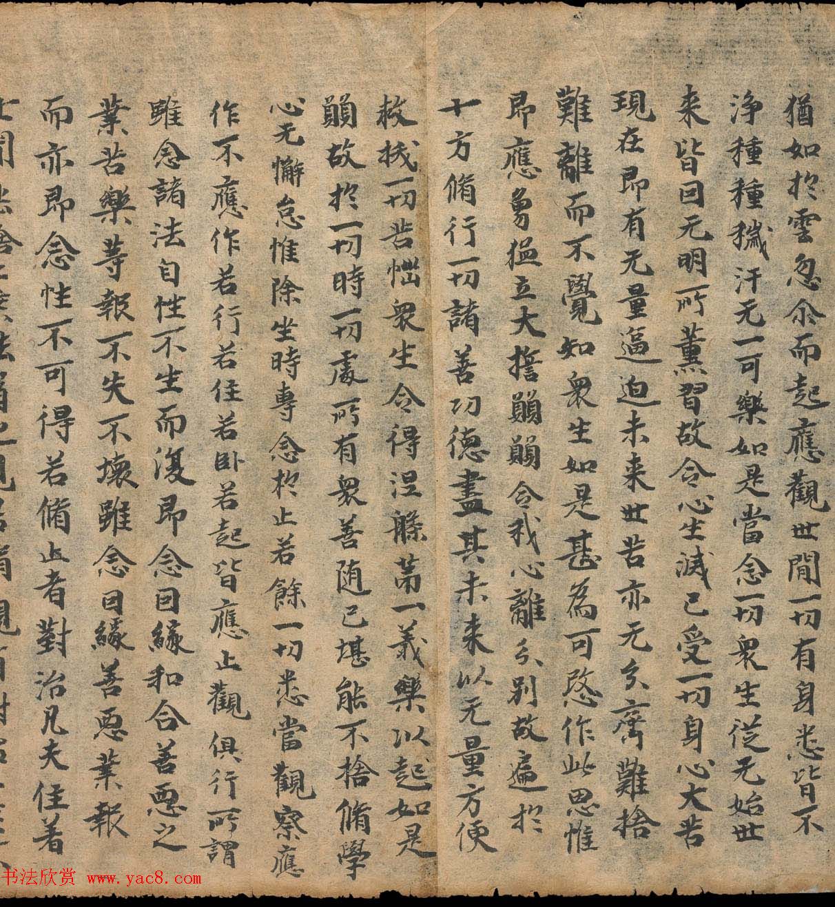 奥登堡敦煌文献精选《大乘起信论一卷》俄罗斯科学院藏