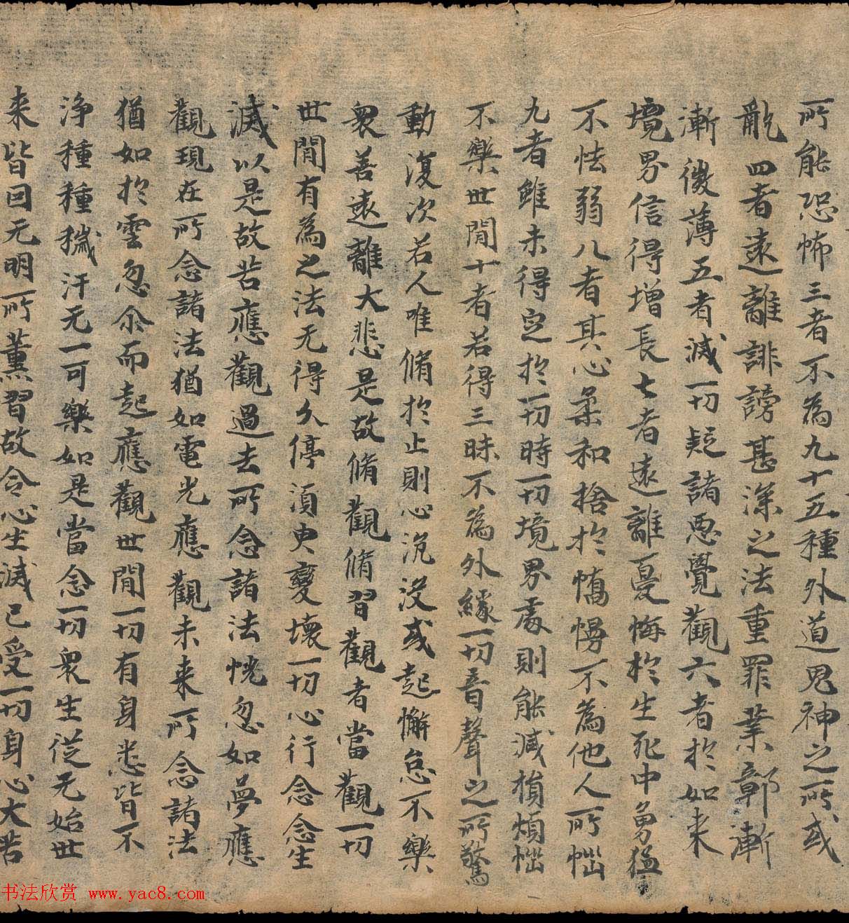 奥登堡敦煌文献精选《大乘起信论一卷》俄罗斯科学院藏