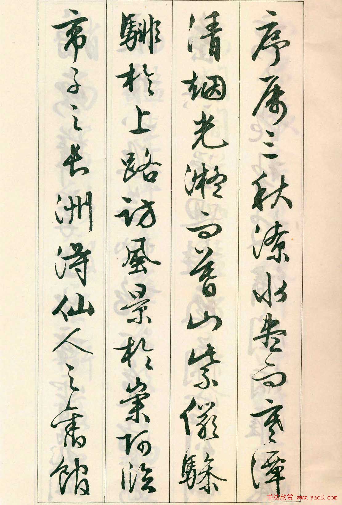 鷨:顶