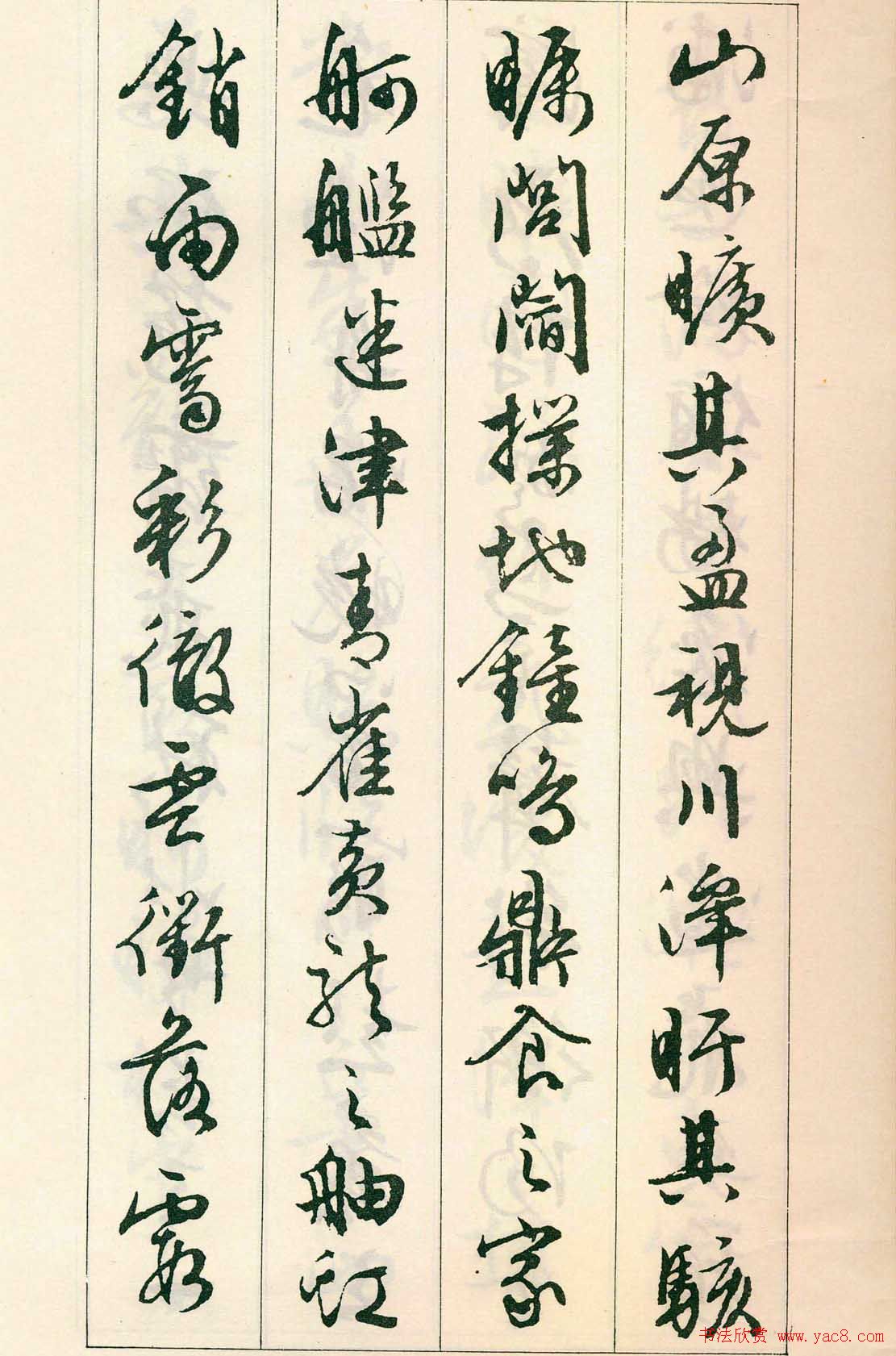 鷨:顶
