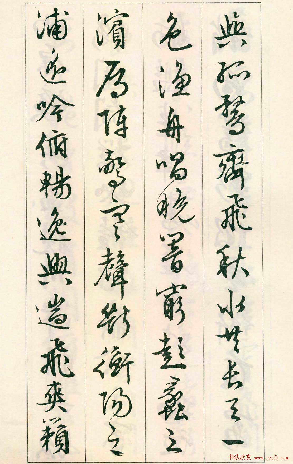 鷨:顶