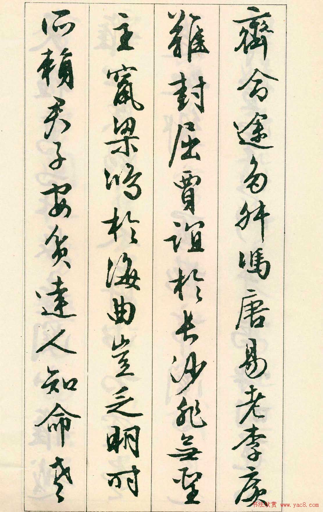 鷨:顶