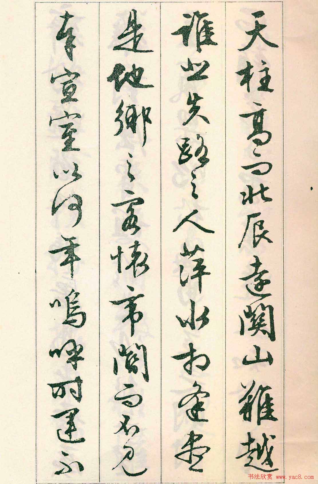 鷨:顶