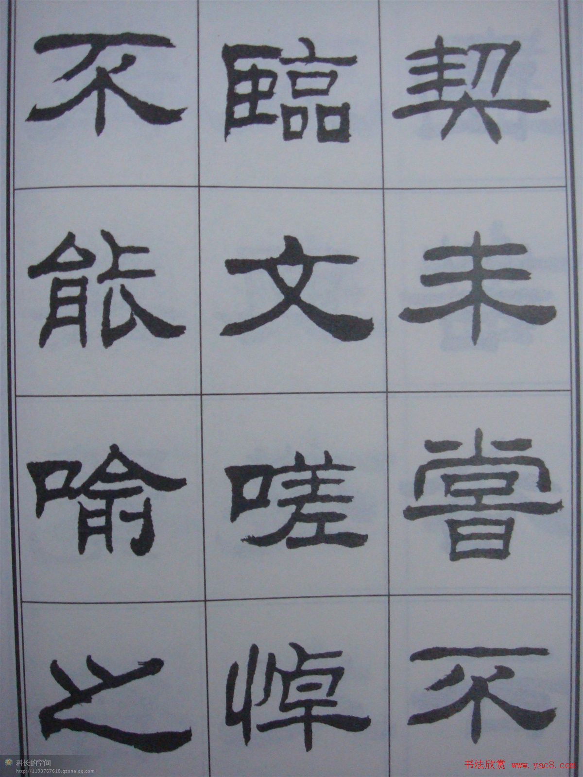 ɭ鷨顶ͤ