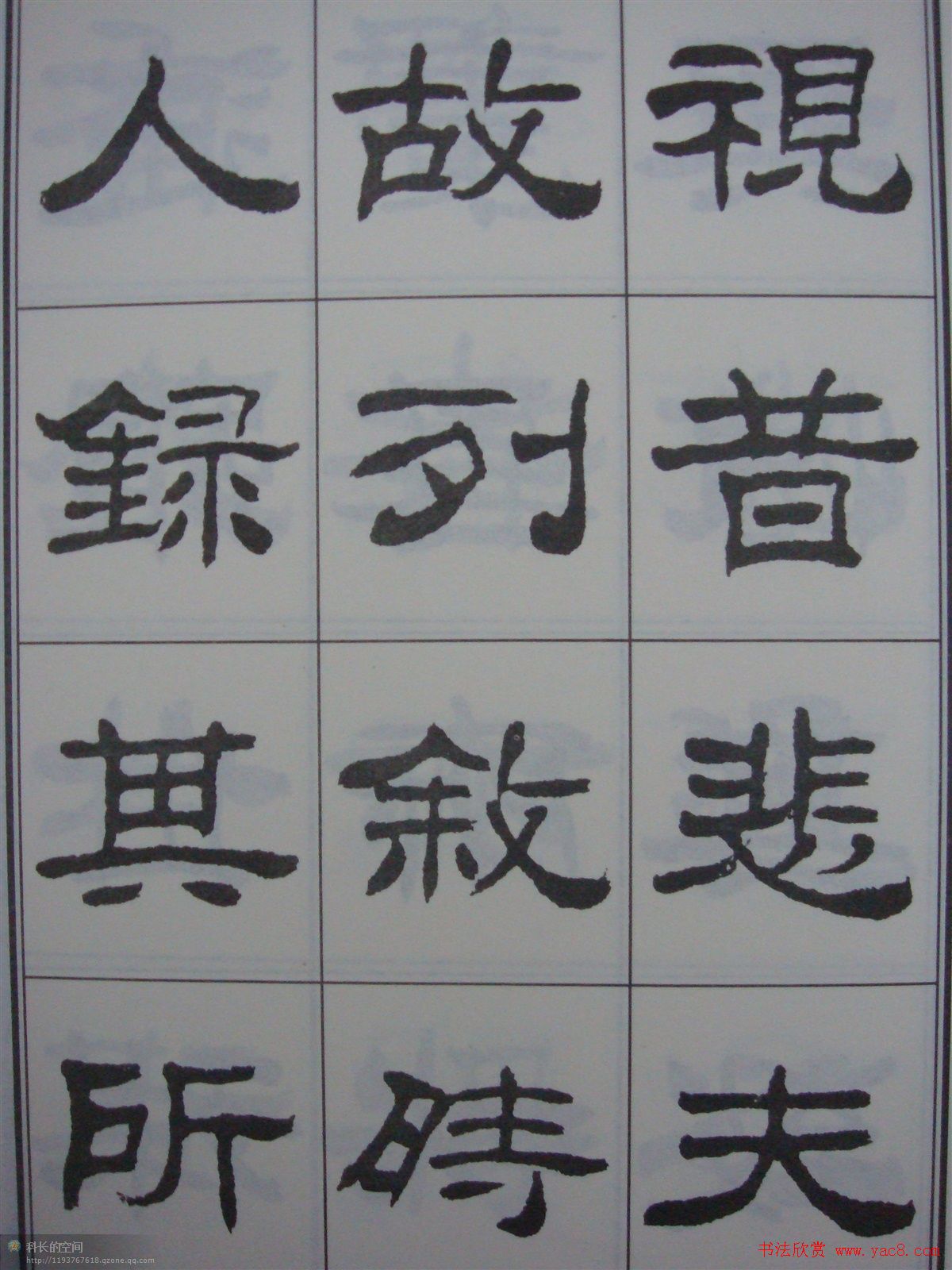 ɭ鷨顶ͤ