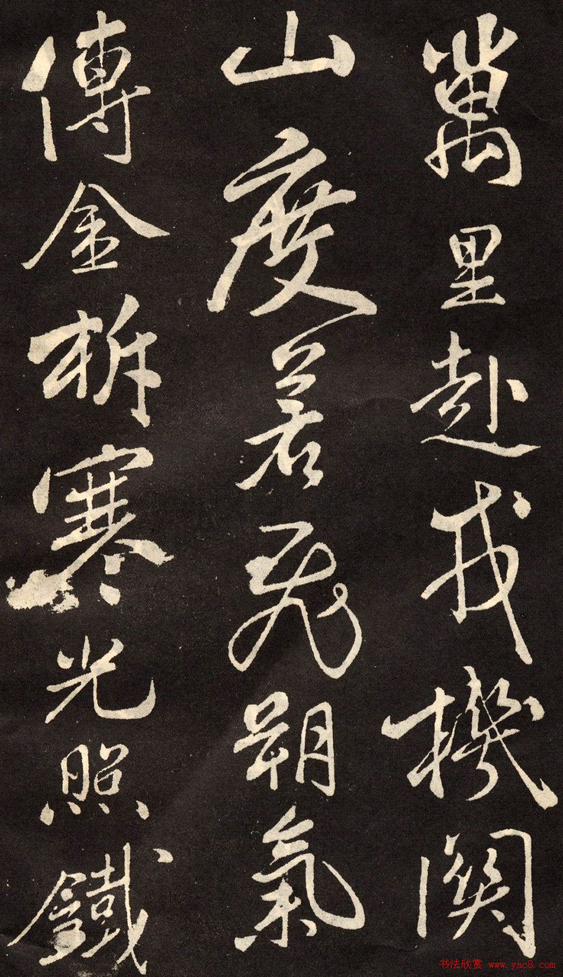 鷨رľʫ