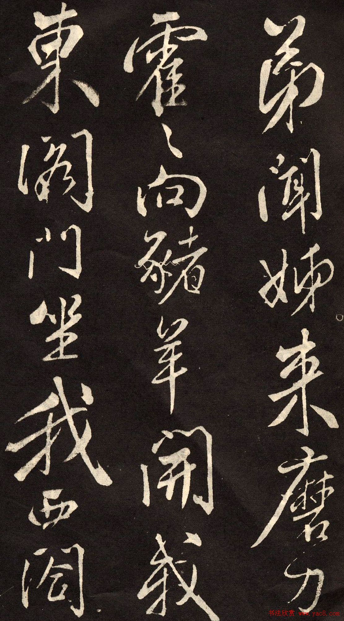 鷨͡ľʫͼ20P